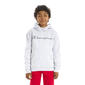 Boys (8-20) Champion Signature Tonal Hd Silicone Hoodie - image 1