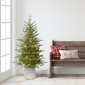 Puleo International Pre-Lit Potted Arctic Fir Christmas Tree - image 2