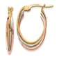 Gold Classics(tm) 14kt. Tri-Color 22x5mm Hoop Earrings - image 1