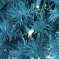 Northlight Pre-Lit Artificial Turquoise Pine Christmas Wreath - image 5