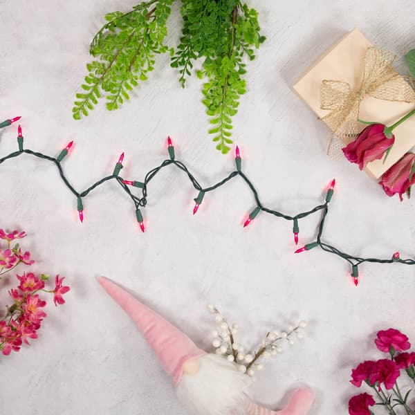 Northlight Seasonal 21.5ft. Pink Mini Christmas Light Set