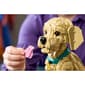 LEGO® Icons Golden Retriever Puppy - image 12