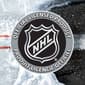Franklin® GFM 1500 NHL Wild Goalie Face Mask - image 8
