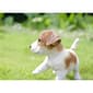Hi-Line Gift Jack Puppy Playing Garden Statue - image 7