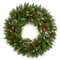 National Tree 24 in. Frosted Berry Wreath - image 1
