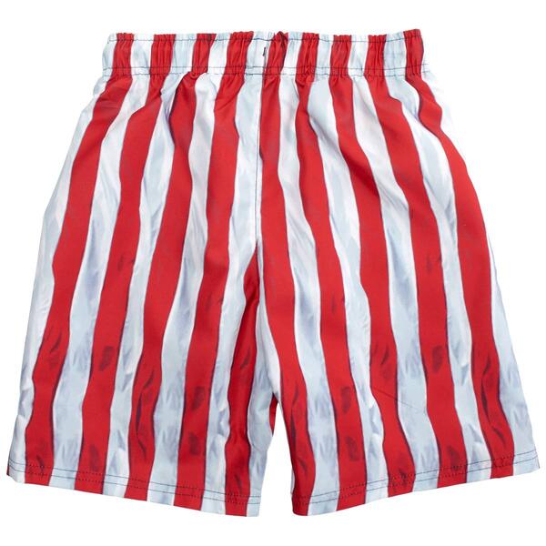 Boys &#40;8-20&#41; SURFZONE&#174; Americana Swim Trunks - image 