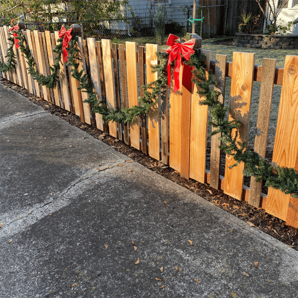 Northlight 100ft. Commercial Canadian Pine Christmas Garland