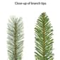 Puleo International 2pc. Cashmere Pre-Lit Potted Christmas Trees - image 7