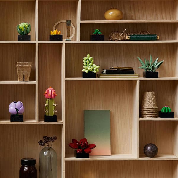 LEGO&#174; Botanicals Succulents