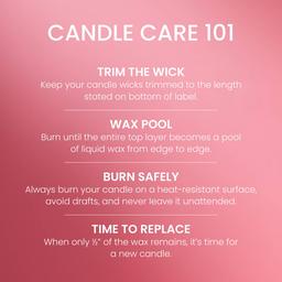 Yankee Candle® Iced Berry Lemonade 2-Wick Large Tumbler Candle