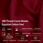 Superior 300TC Egyptian Cotton Solid Deep Pocket Queen Sheet Set - image 4