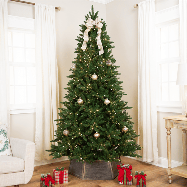 Northlight Real Touch(tm) 6ft. Pre-Lit Calgary Pine Christmas Tree - image 