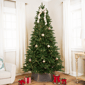 Northlight Real Touch(tm) 6ft. Pre-Lit Calgary Pine Christmas Tree - image 1
