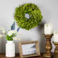 Northlight Seasonal 10in. Artificial Green Foliage Spring Wreath - image 3