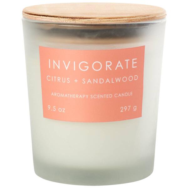 Top Notch Invigorate Citrus & Sandalwood 9.5oz. Aroma - image 