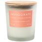 Top Notch Invigorate Citrus & Sandalwood 9.5oz. Aroma - image 1