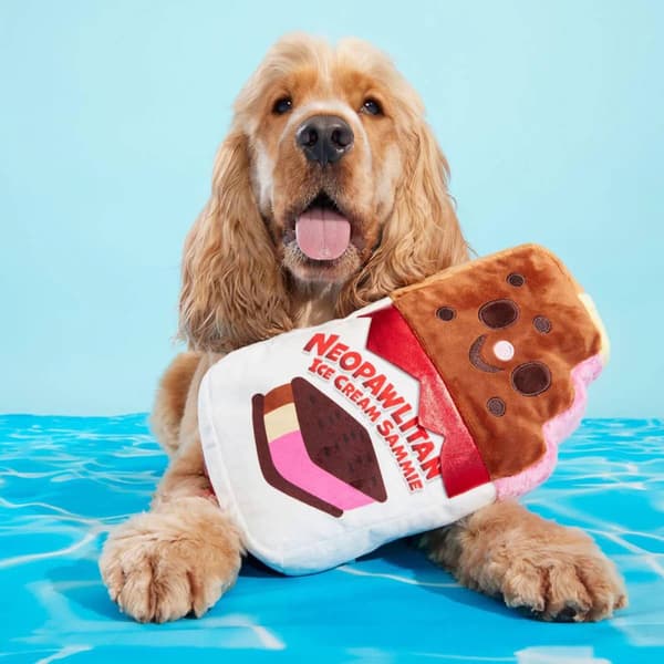 Bark Grand Slam Ice Cream Sandwich Dog Toy