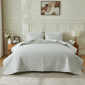 Patina Vie Maison Vintage Floral Bowden Courtyard Quilt Set - image 1