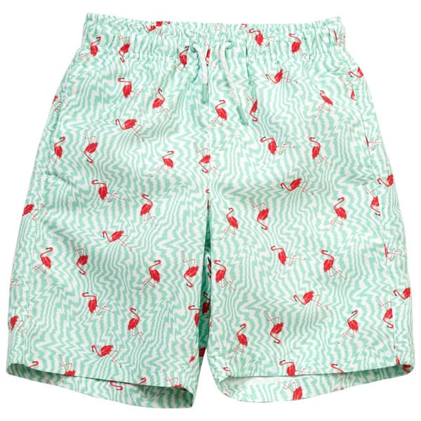 Boys (8-20) SURFZONE(R) Flamingos Swim Trunks - image 