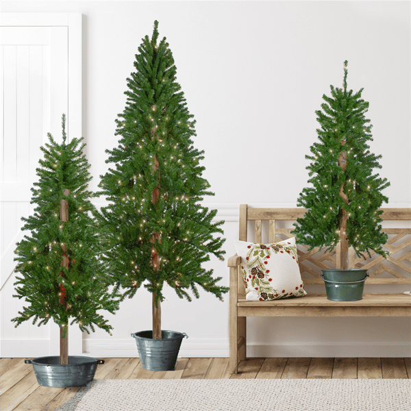 Northlight 4-6ft. Pre-Lit Slim Alpine Christmas Trees - Set of 3 - image 
