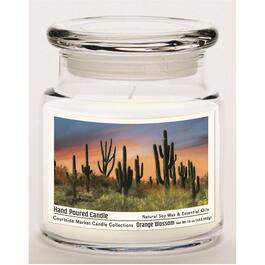 Courtside Market&#40;R&#41; Pheonix Cactus 16oz. Orange Blossom Jar Candle