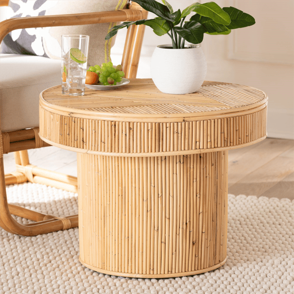 bali & pari Iryna Modern Bohemian End Table