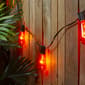 Northlight Seasonal 10ct. Orange Edison Halloween Light Set - image 2