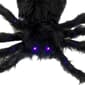National Tree 50in. Halloween Black Spider LED Lights - image 3