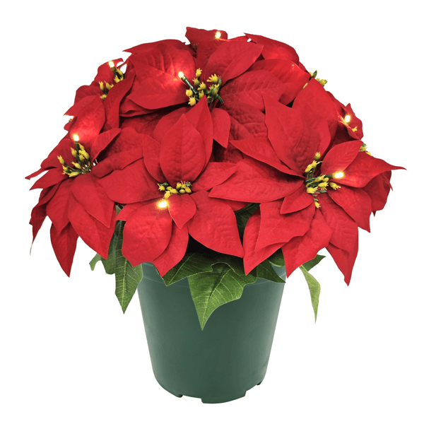 Puleo International 19in. Pre-Lit Potted Red Poinsettias