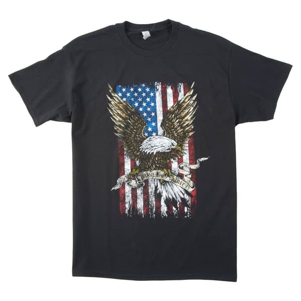 Mens Patriotic Brave Eagle II Short Sleeve Graphic T-Shirt - image 