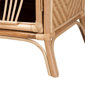 Baxton Studio Danna Modern Bohemian Rattan Nightstand - image 6