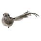 Northlight Seasonal Clip On Bird Christmas Ornament - image 3