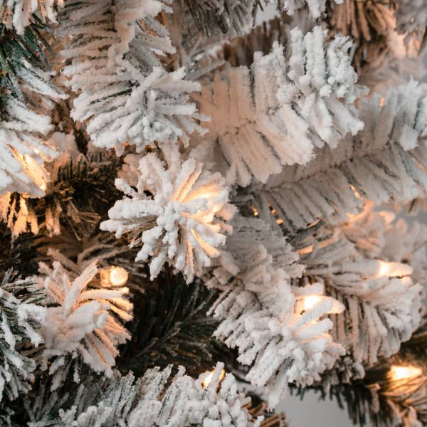 National Tree 4.5ft Acacia Flocked Tree w/ 100 Clear Lights