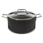 BergHOFF Essentials Hard Anodized 10in. Stockpot w/ Glass Lid - image 1