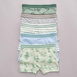 Toddler Boy Poppy & Clay 5pk. Wanderer Safari Boxer Briefs