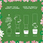 Marc Jacobs Daisy Wild Eau de Parfum - image 8
