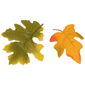 Northlight Fall Harvest 11pc. Acorns & Maple Leaves Decor Set - image 4