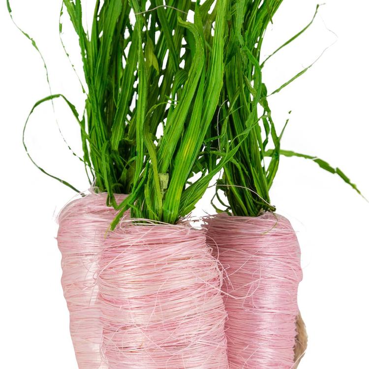 Northlight Seasonal Straw Carrot Bundle Easter Décor - Set of 3