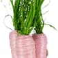 Northlight Seasonal Straw Carrot Bundle Easter Décor - Set of 3 - image 5