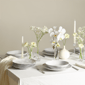 Stone Lain Harper 12pc. Stoneware Dinnerware Set - image 5