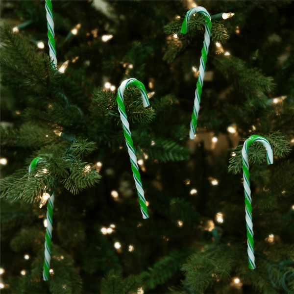 Northlight 12ct. Twist Candy Cane Christmas Ornaments