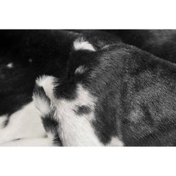 9th & Pike® Black & White Faux Cowhide Area Rug