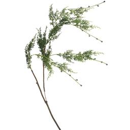 Northlight Seasonal Cypress Hanging Artificial Christmas Spray