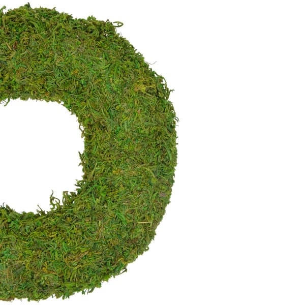 Northlight Seasonal Reindeer Moss Artificial Spring Wreath