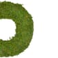 Northlight Seasonal Reindeer Moss Artificial Spring Wreath - image 3