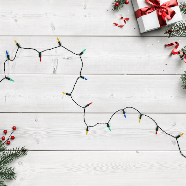 Northlight 15.75ft. LED M5 Faceted Multicolor Christmas Lights