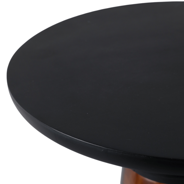 Sagebrook Home Tortua Art Wood Top Accent Table