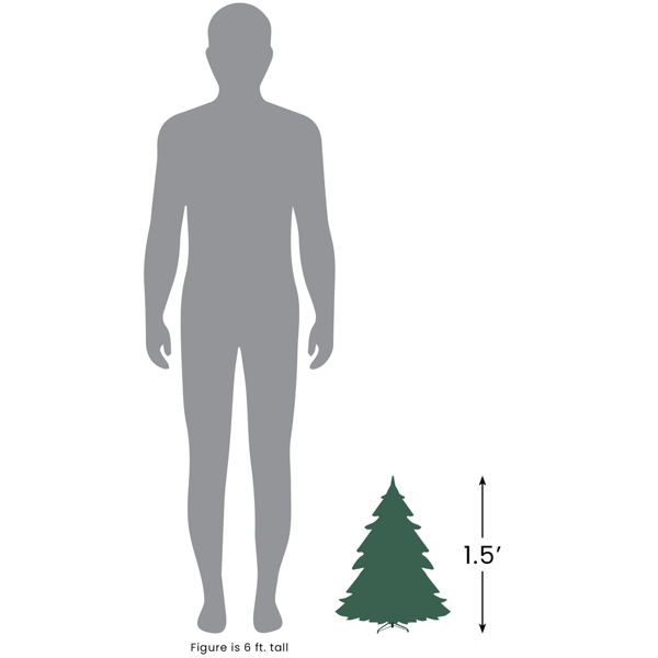 Northlight 18in. Pre-Lit Medium Blackwater Fir Christmas Tree
