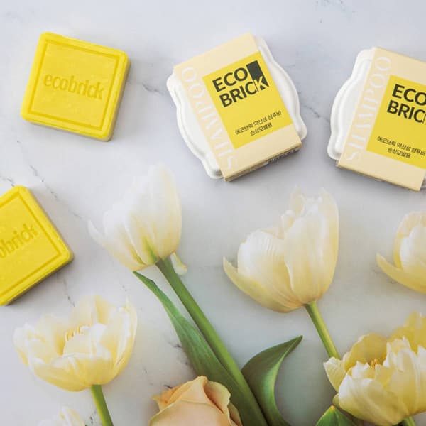 EcoBrick Mild Acidic Damaged Hair Care Shampoo Bar