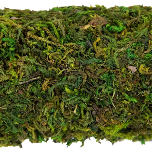 Northlight Seasonal Artificial Reindeer Moss Square Spring Wreath